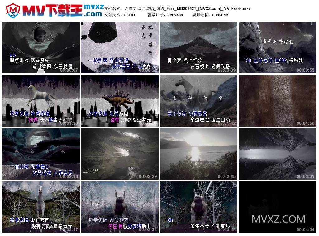 金志文-边走边唱_国语_流行_MD205521
